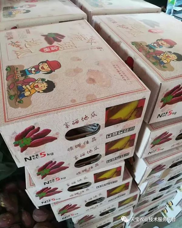 网购桥头富硒地瓜