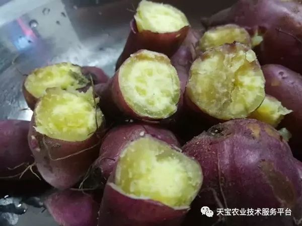 网购桥头富硒地瓜