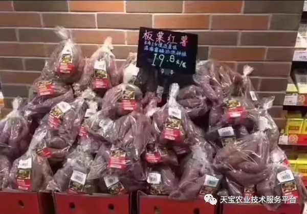网购桥头富硒地瓜