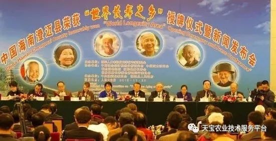 网购桥头富硒地瓜