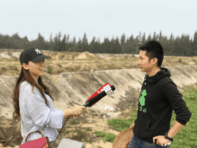 焦点访谈富硒地瓜