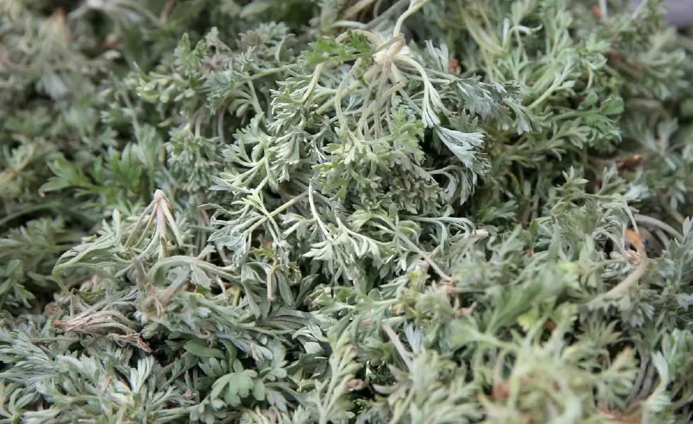 富硒地瓜含糖高吗