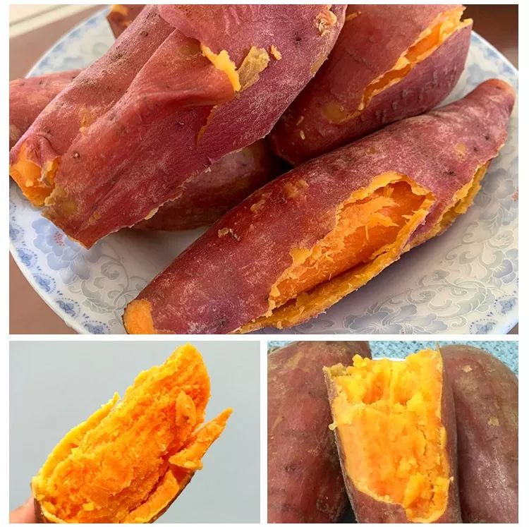 富硒地瓜产在哪里