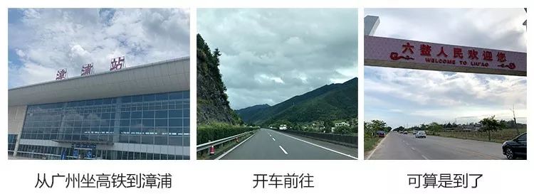 富硒地瓜产在哪里