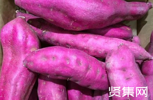 地瓜的种植方法和时间，地瓜品种有多少种？