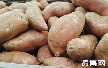 地瓜的种植方法和时间，地瓜品种有多少种？