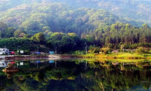 海南沙土富硒地瓜