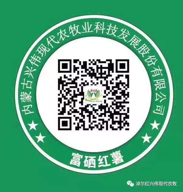 富硒地瓜粉的功效