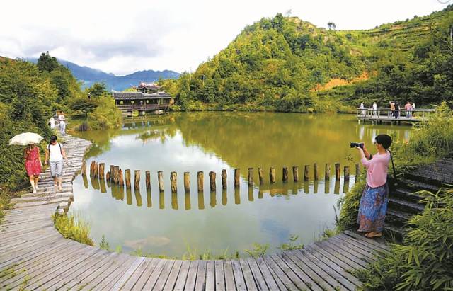 桥头富硒地瓜避坑