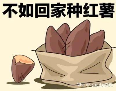 密薯是富硒地瓜吗