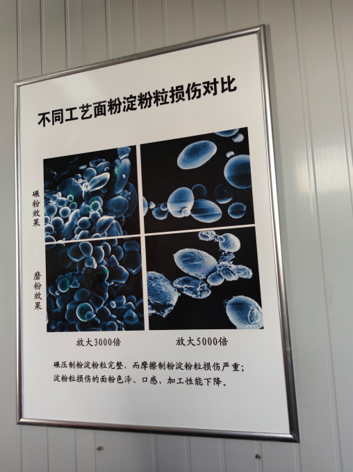 富硒小麦面粉观摩