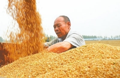 富硒面粉怎么种植