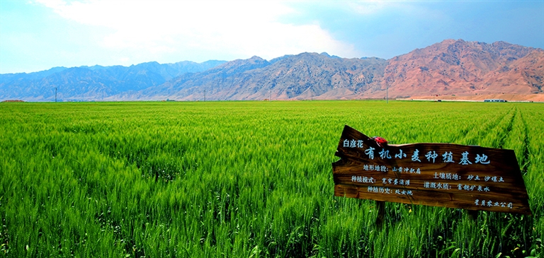 富硒面粉生产基地