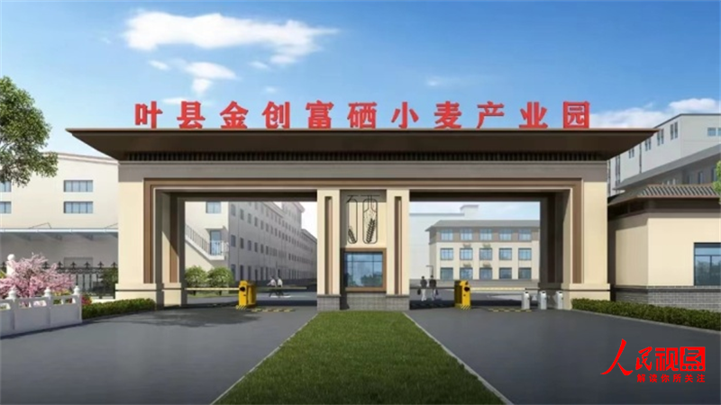 全国哪产富硒面粉