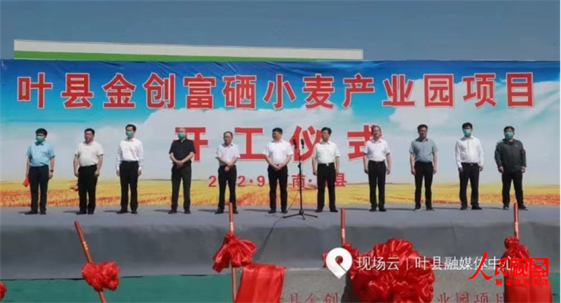 全国哪产富硒面粉