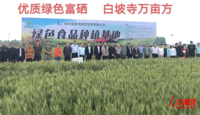 全国哪产富硒面粉