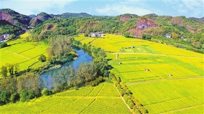 宁都富硒蔬菜南昌