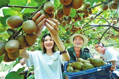 宁都富硒蔬菜南昌