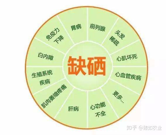 蔬菜富硒含量标准