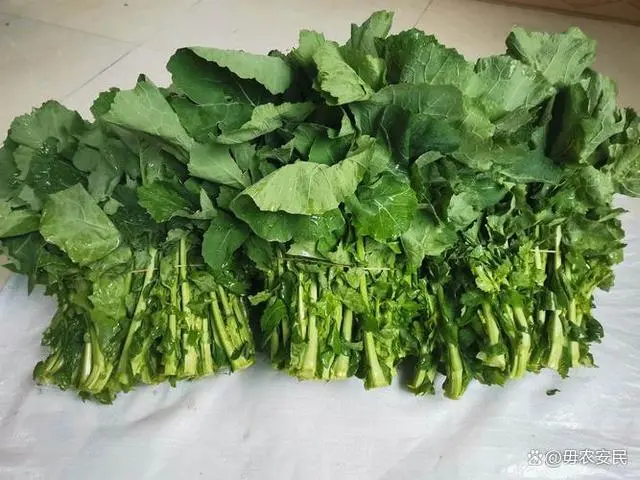 富硒蔬菜什么价格