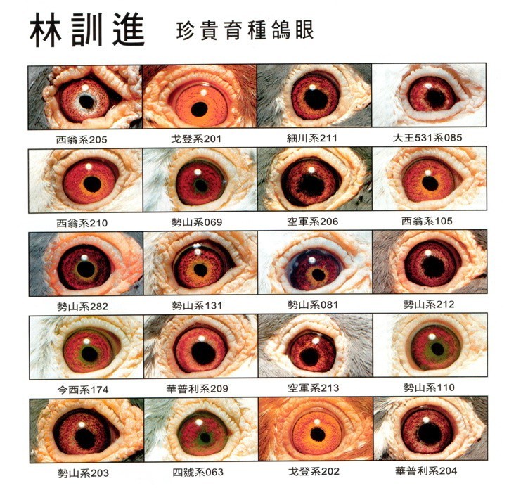 北京富硒有机蔬菜