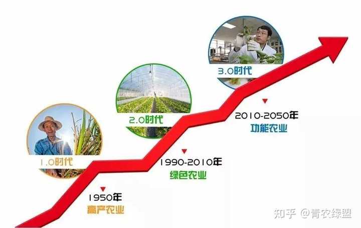 哪些属于富硒蔬菜