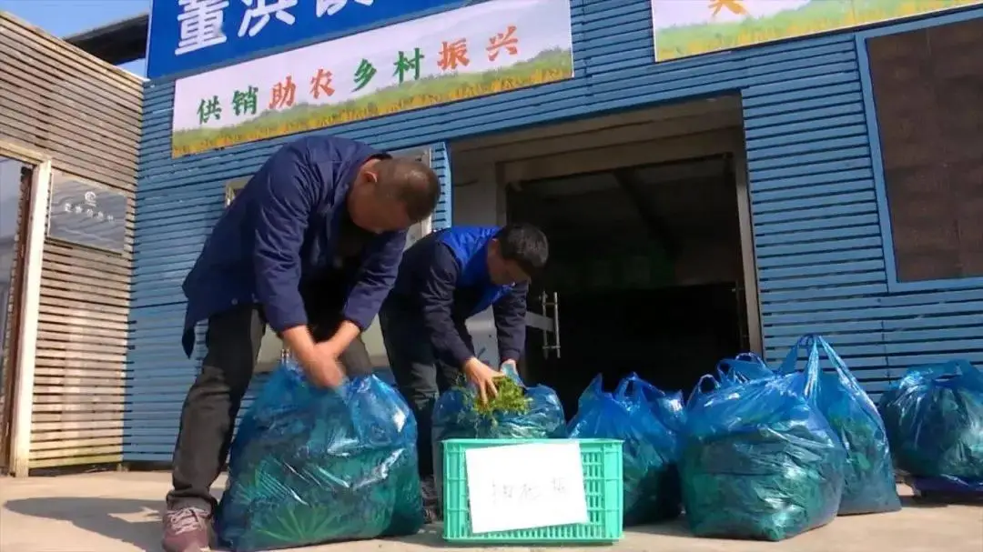 富硒蔬菜生产方案