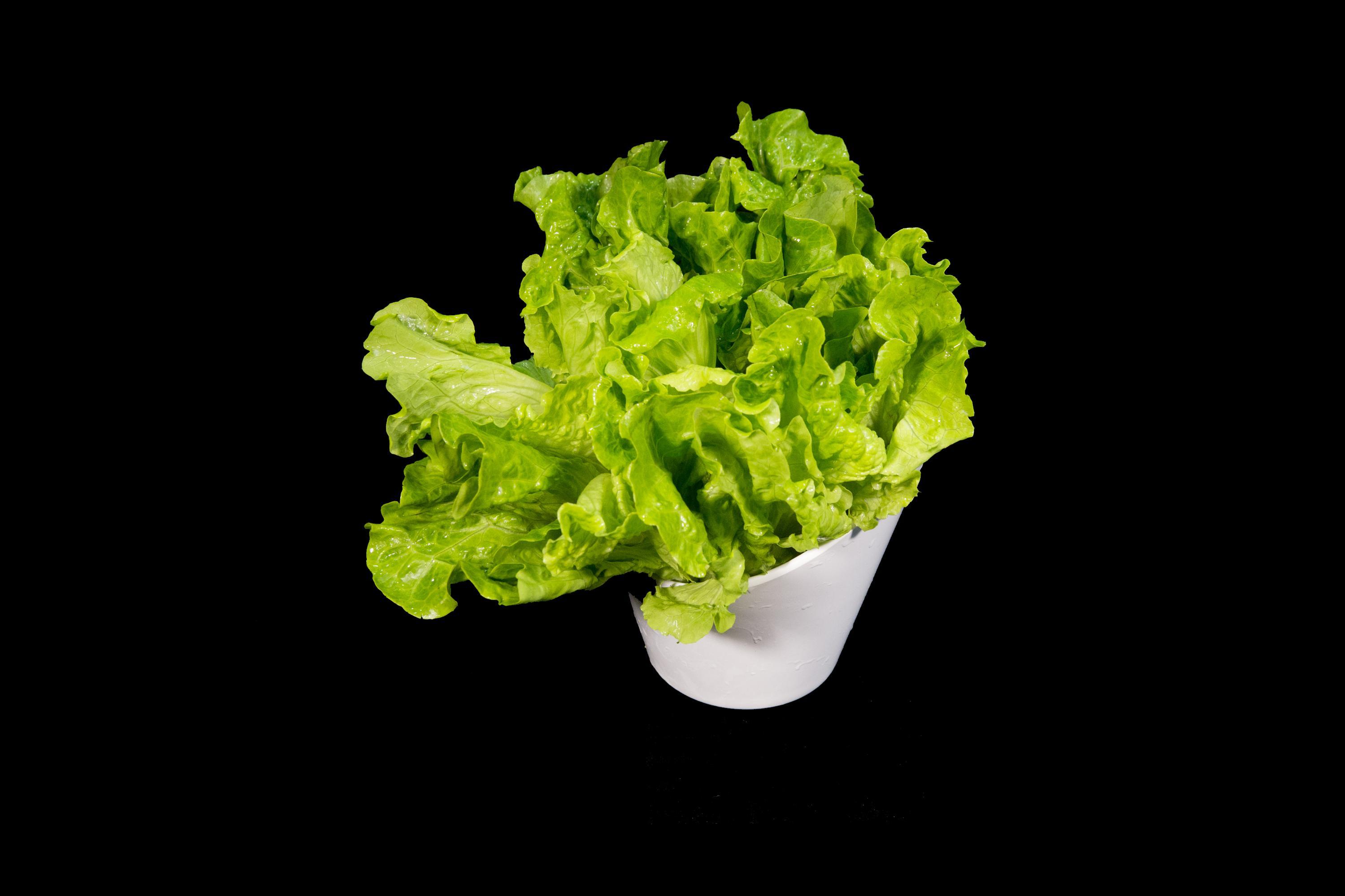 富硒蔬菜生产方案