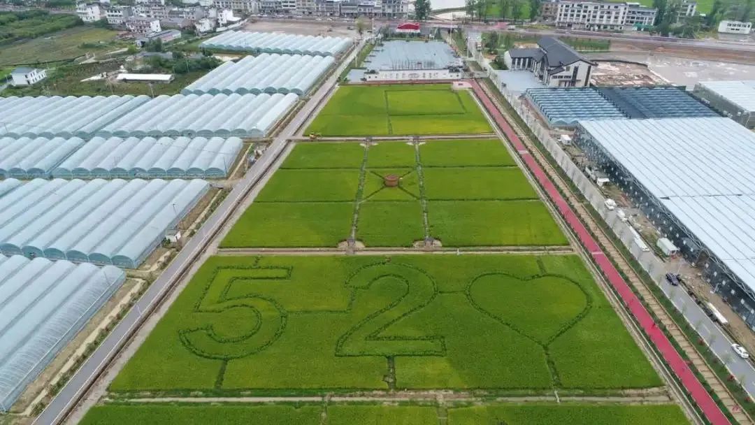富硒蔬菜示范基地