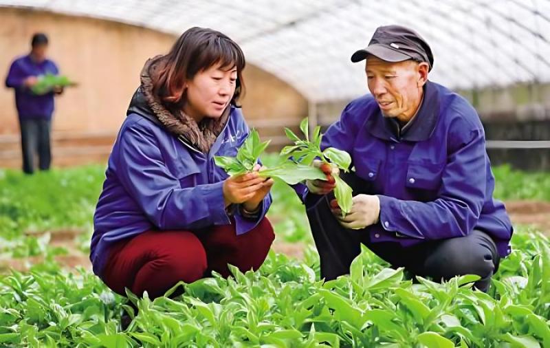 水培蔬菜富硒液肥
