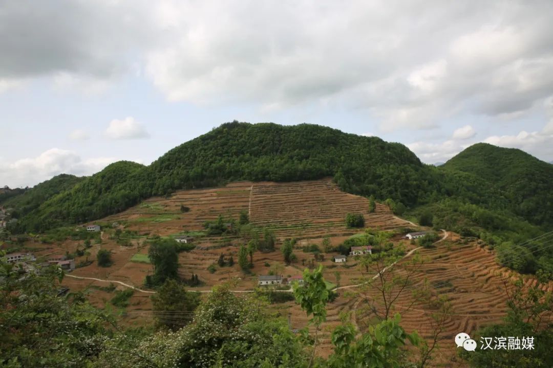 石狮富硒蔬菜工厂