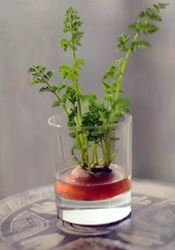 水培蔬菜富硒液肥