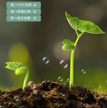 平安富硒水果蔬菜