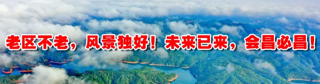富硒蔬菜种植公司