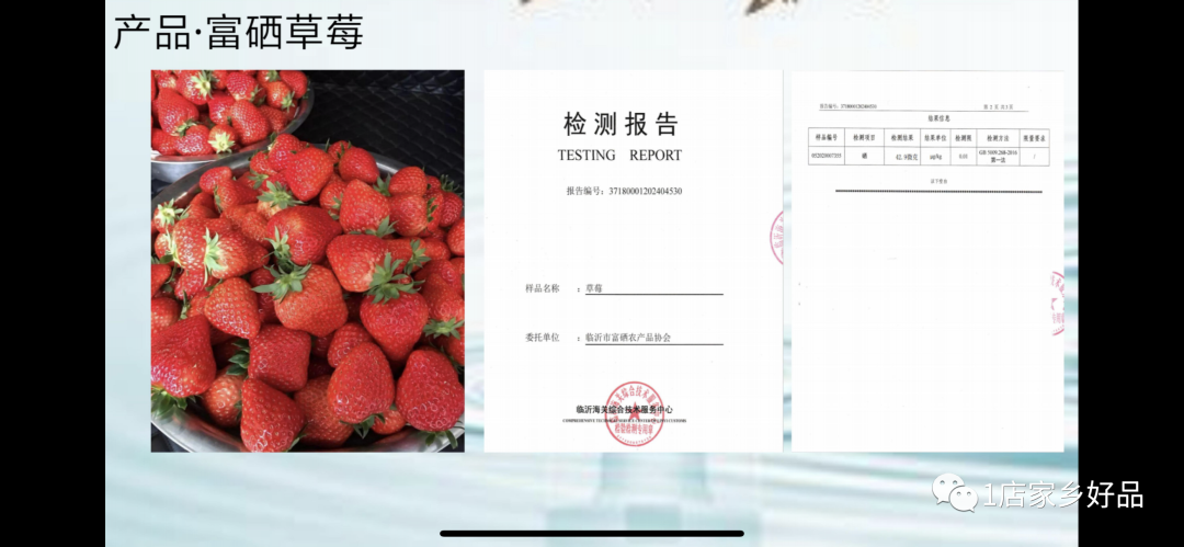富硒蔬菜种植示范
