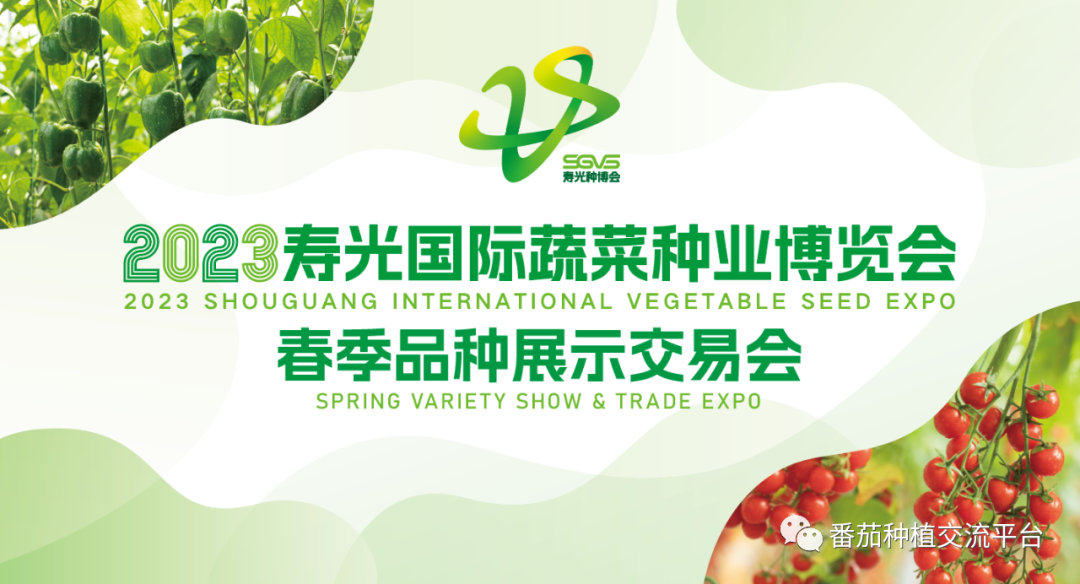 富硒蔬菜种植公司