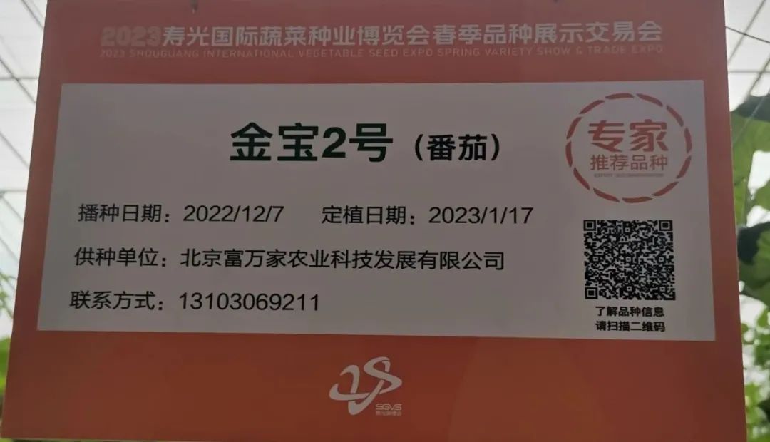 富硒蔬菜种植公司