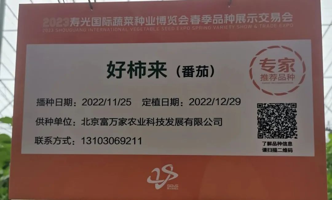 富硒蔬菜种植公司