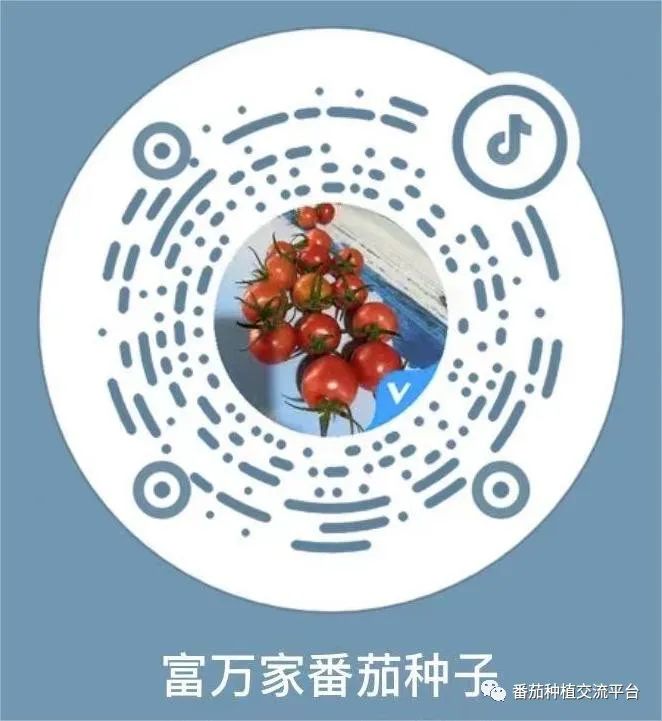 富硒蔬菜种植公司
