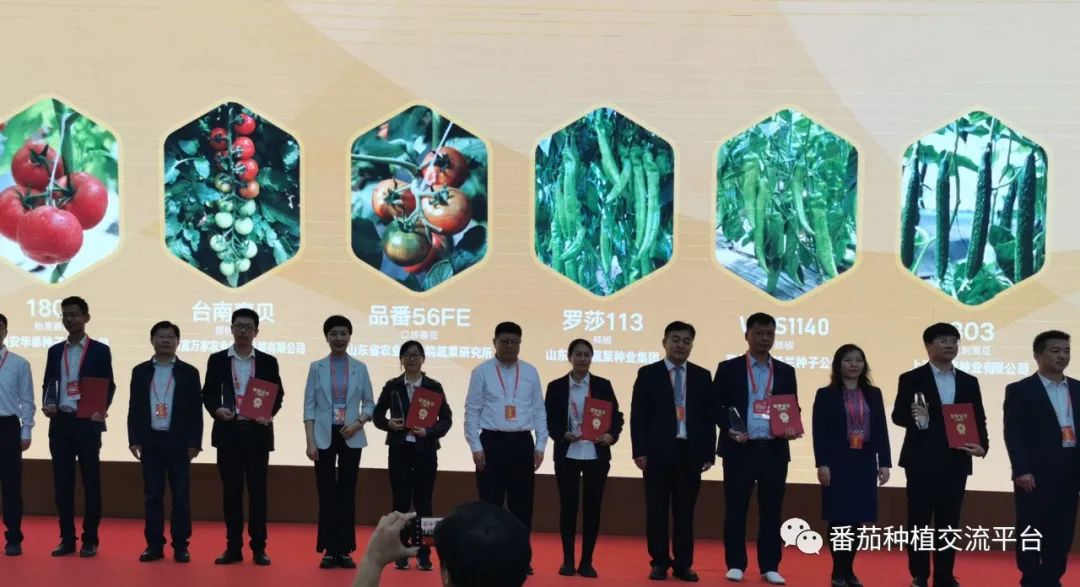 富硒蔬菜种植公司