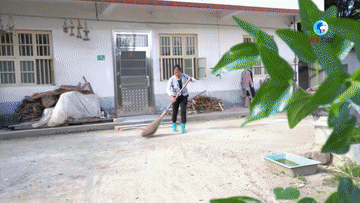 宁都梓山富硒蔬菜