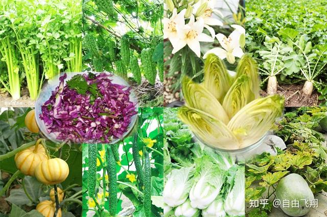 富硒水蔬菜有哪些