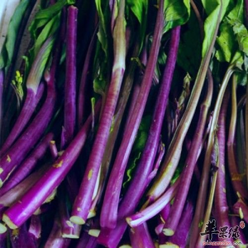 富硒蔬菜粉的做法