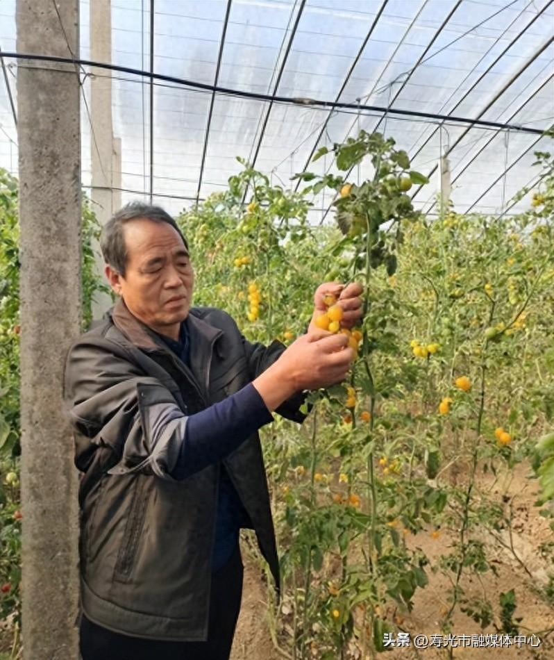现代农业富硒蔬菜