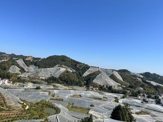 富硒蔬菜保鲜期长