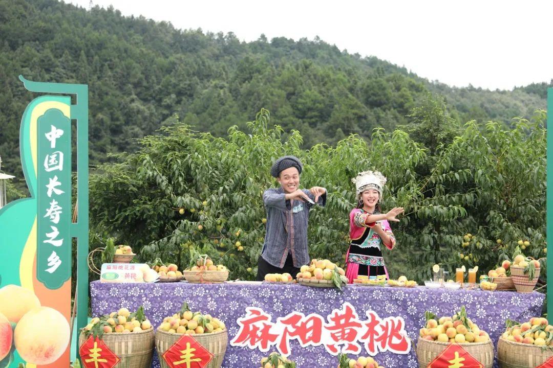 麻阳富硒水果标准