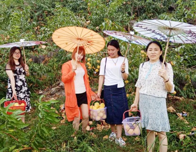 富硒水果种植政策