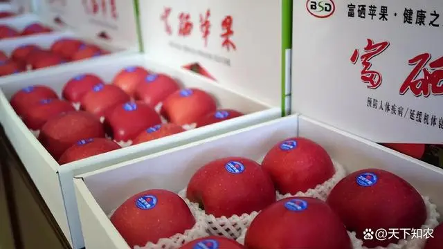江苏富硒水果销售