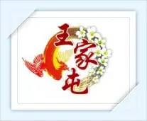 新型有机富硒水果