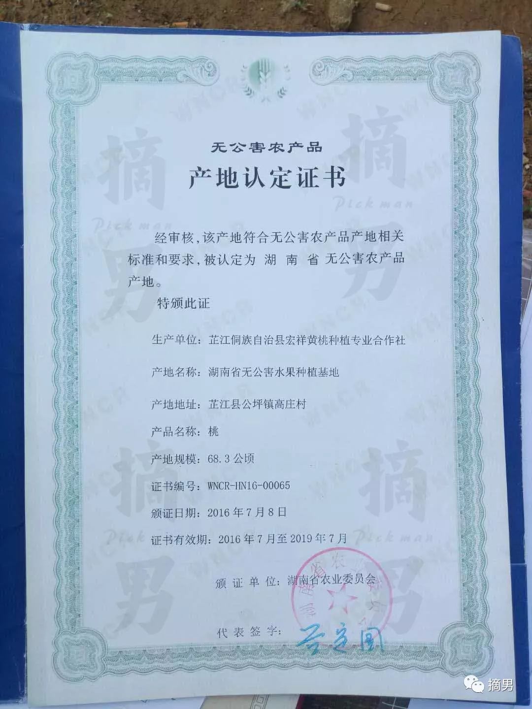 如何栽植富硒水果